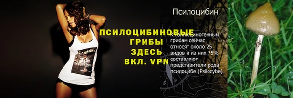 кокаин перу Гусиноозёрск