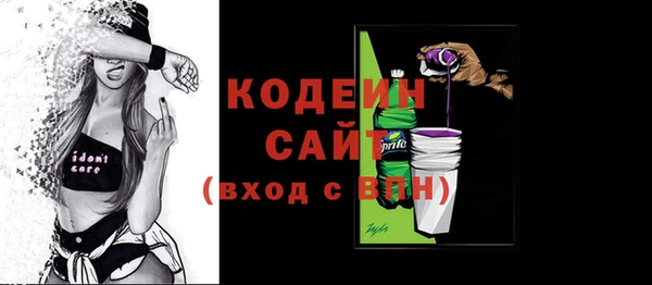 гашик Гусев