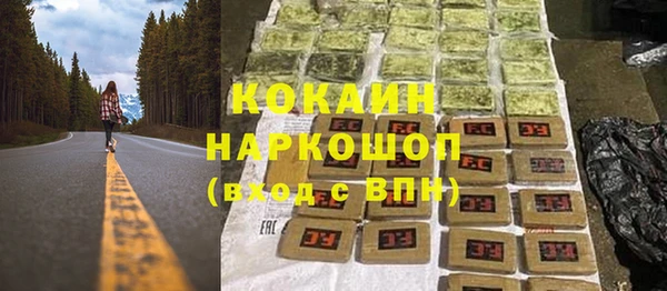 гашик Гусев