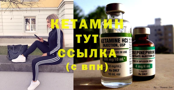 гашик Гусев