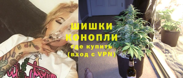 гашик Гусев