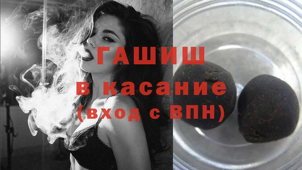 гашик Гусев