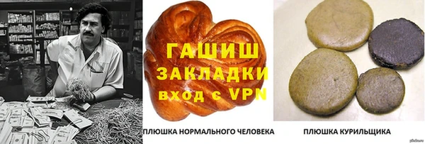 гашик Гусев